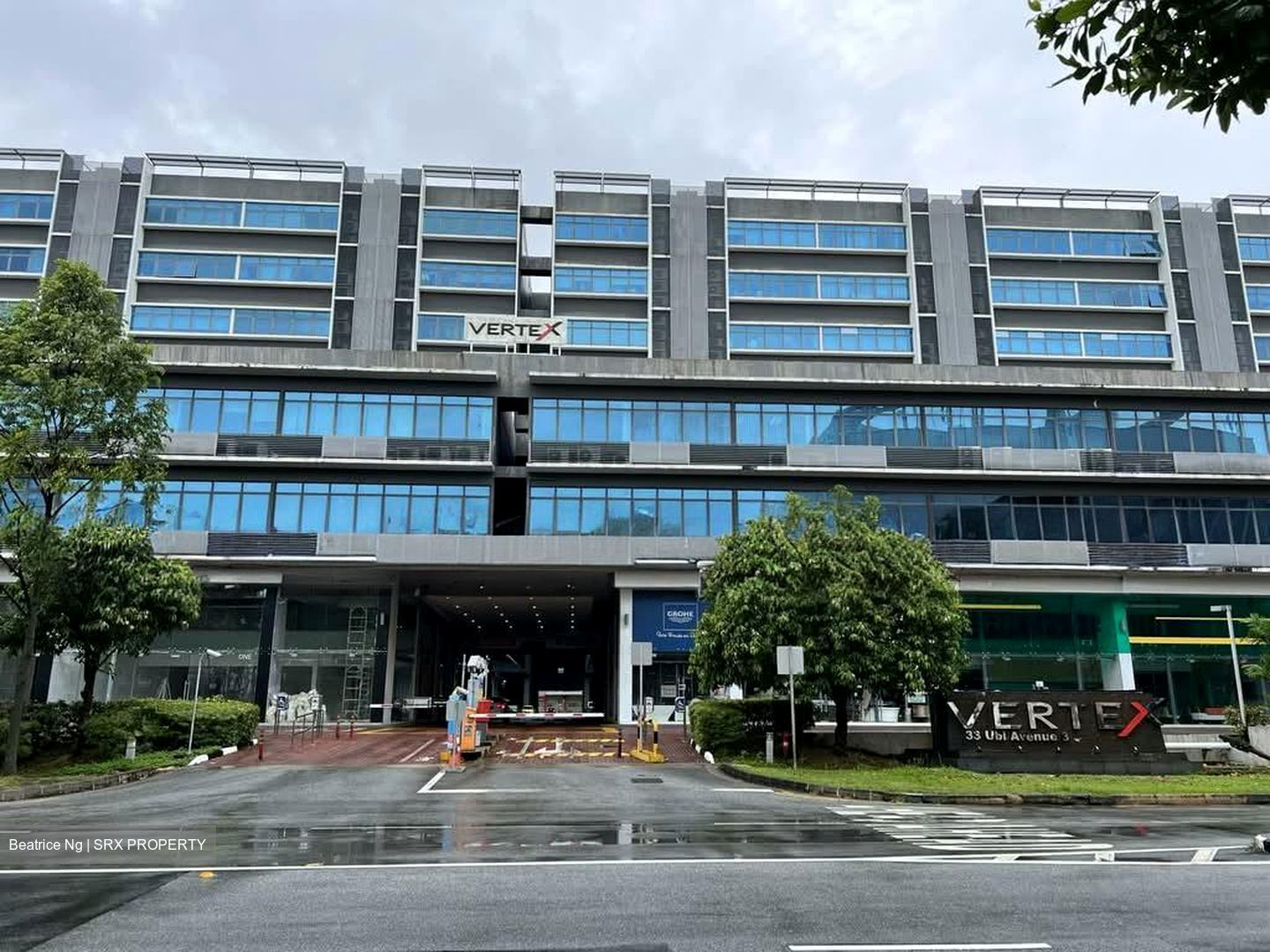 Vertex (D14), Factory #552011781